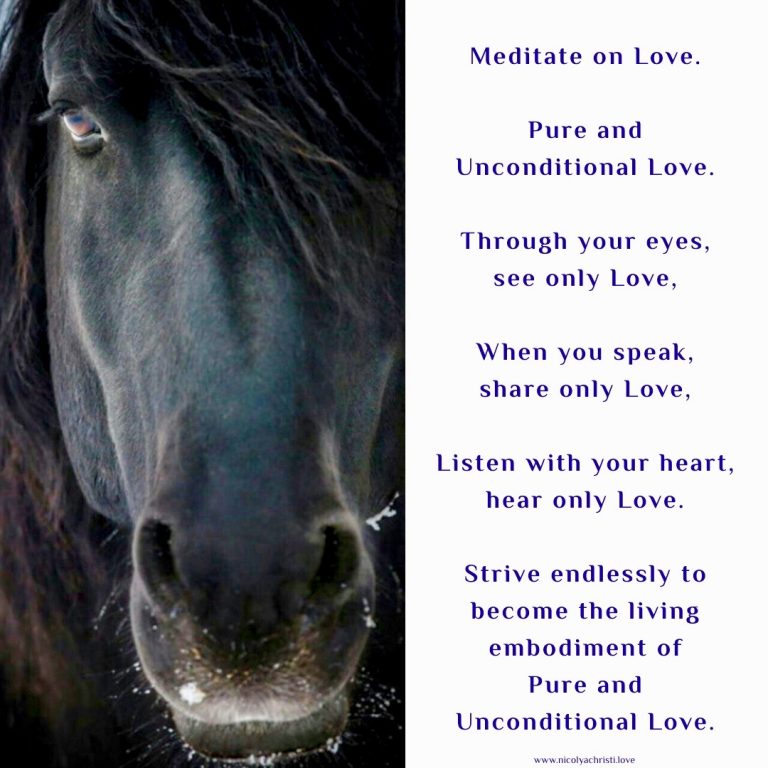 Meditate on Love